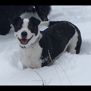 Meet your Posher, Kristi